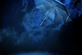 rain-savings-IT