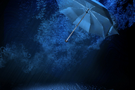 rain-savings-IT
