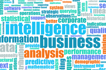 Business Intelligence